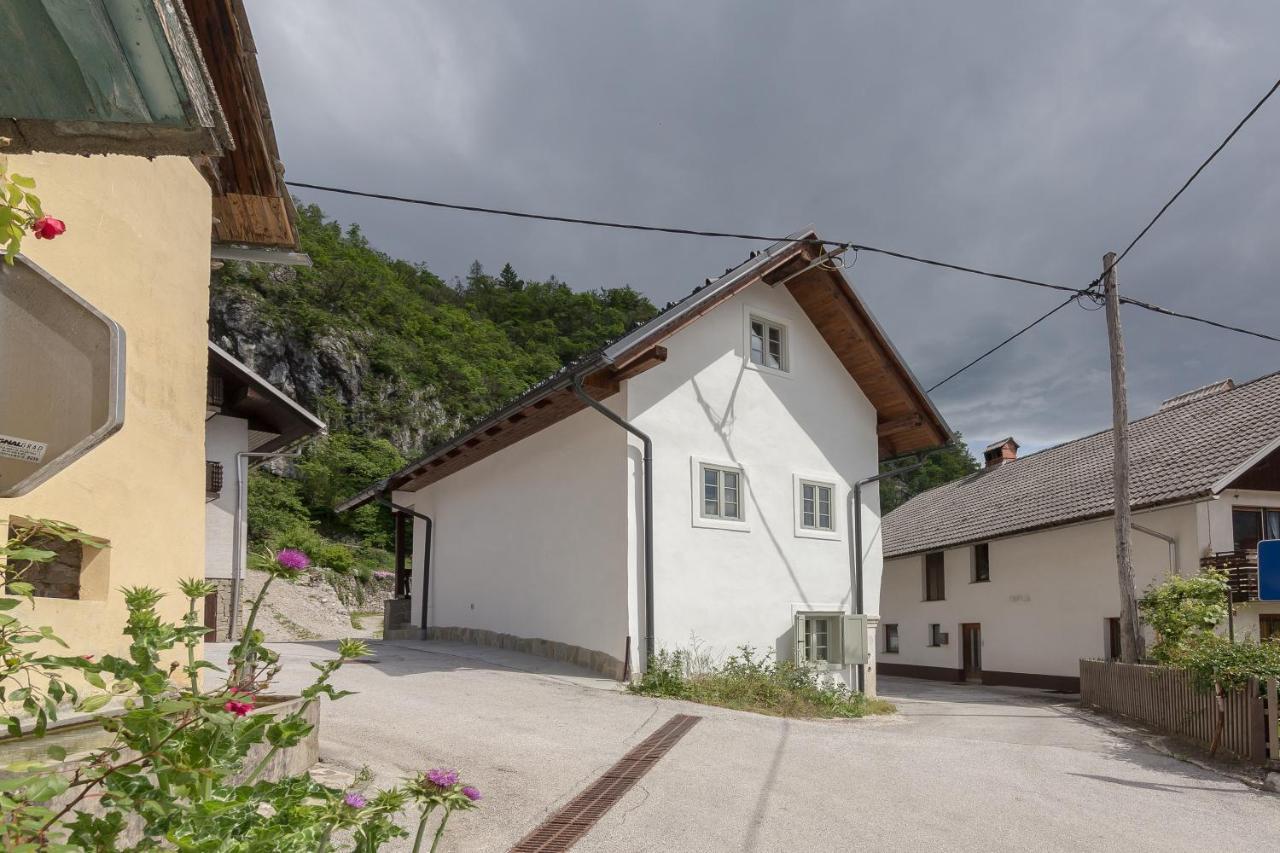 House Bella Apartment Bohinjska Bela Bagian luar foto